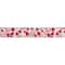 2.5" x 10yd. Hearts & Arrows Valentine's Day Wired Craft Ribbon